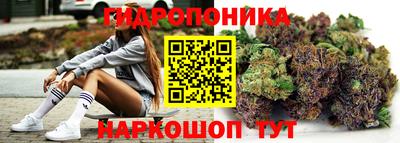 сатива Апшеронск
