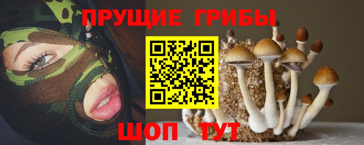 Белово  где можно купить наркотик  Вход с VPN  Галлюциногенные грибы ЛСД  Галлюциногенные грибы MAGIC MUSHROOMS 
